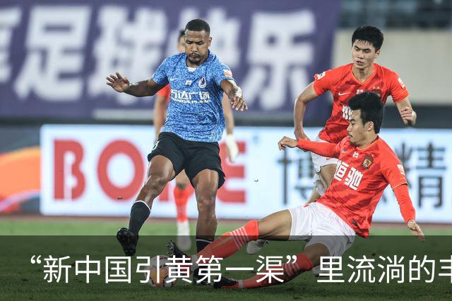“新中国引黄第一渠”里流淌的丰收“密码”