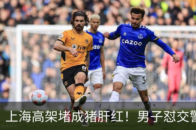上海高架堵成猪肝红！男子怼交警:不能算我开车