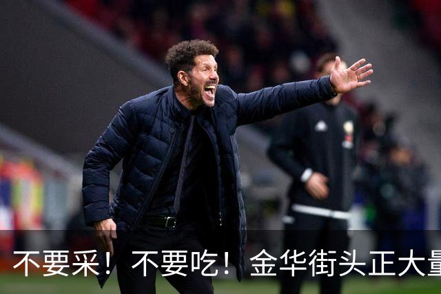 不要采！不要吃！金华街头正大量出现！