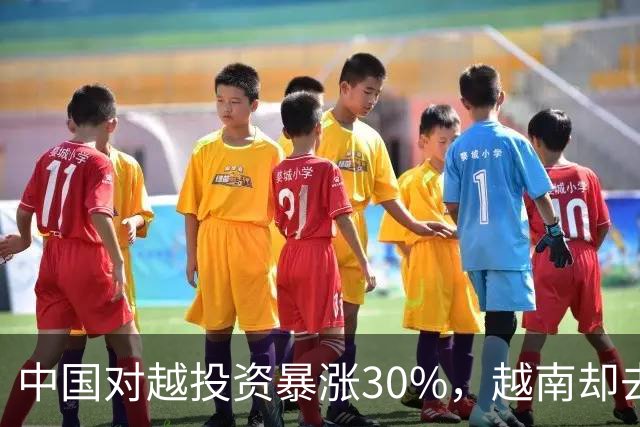 中国对越投资暴涨30%，越南却去美国签大单！苏林两头通吃图什么