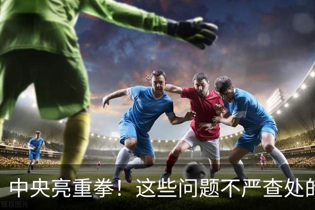 中央亮重拳！这些问题不严查处的，直接追究地方领导责任！