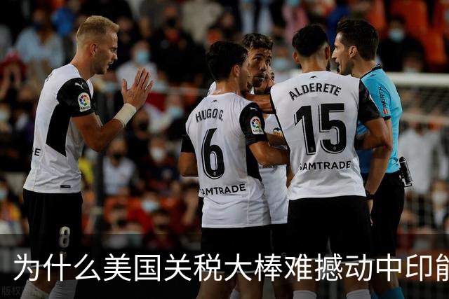 为什么美国关税大棒难撼动中印能源选择？