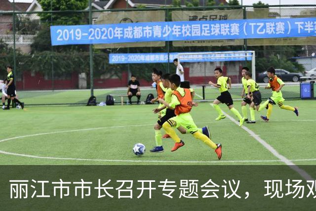 丽江市市长召开专题会议，现场观看央视调查节目，通报曝光问题
