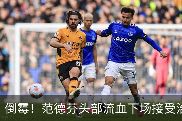 倒霉！范德芬头部流血下场接受治疗，热刺少打一人率先丢球