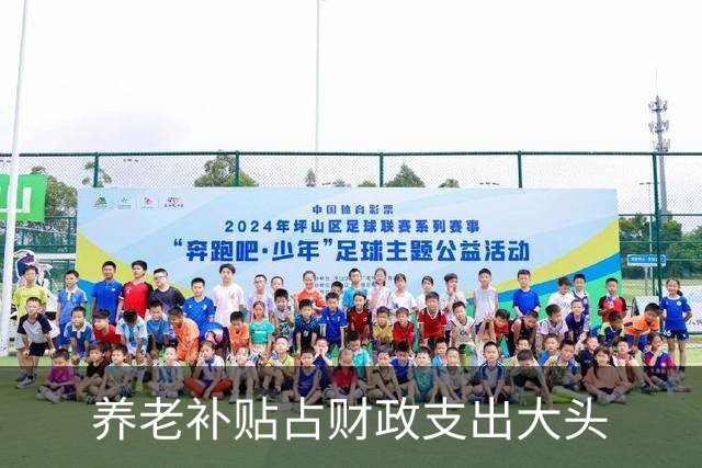 养老补贴占财政支出大头