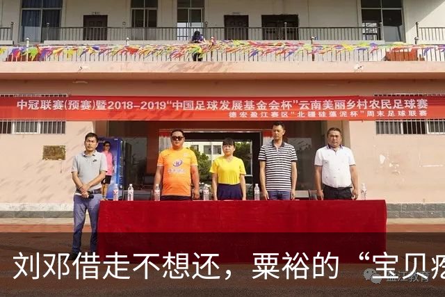 刘邓借走不想还，粟裕的“宝贝疙瘩”，华野这个纵队有多猛？