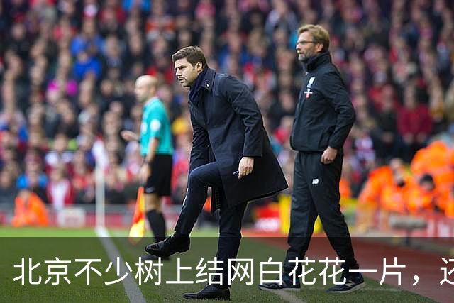 北京不少树上结网白花花一片，还往下掉！今年它的“存在感”怎么这么强？