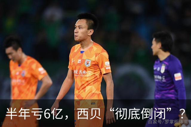 半年亏6亿，西贝“彻底倒闭”？贾老板：震惊