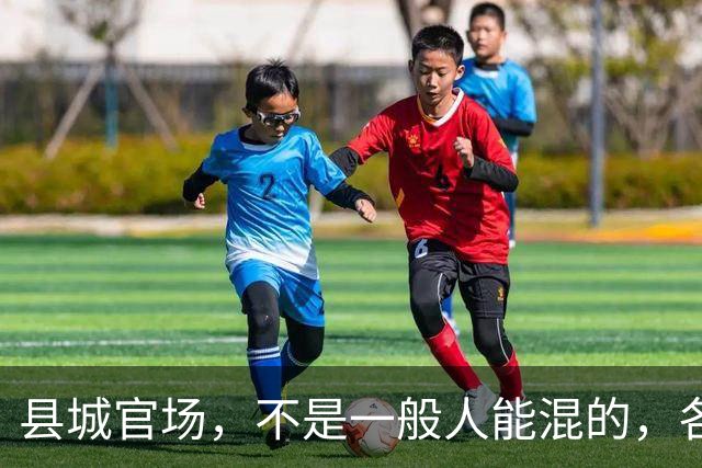 县城官场，不是一般人能混的，各种关系都要有能力应对
