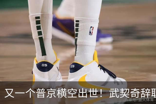 又一个普京横空出世！武契奇辞职当日，两次提到中国许下重大承诺