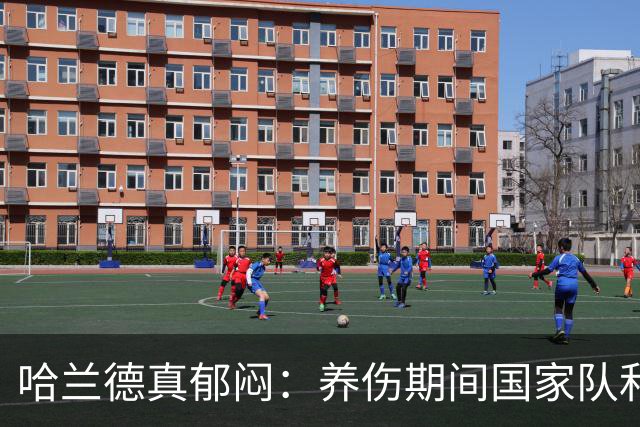 哈兰德真郁闷：养伤期间国家队和俱乐部接连出局