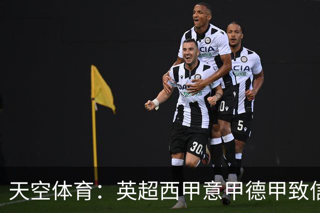 天空体育：英超西甲意甲德甲致信FIFA促改革