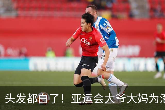 头发都白了！亚运会大爷大妈为潘展乐颁奖 4万志愿者年龄最大91岁