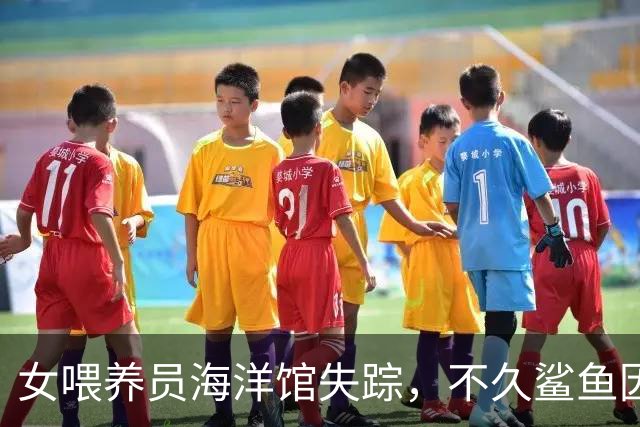 女喂养员海洋馆失踪，不久鲨鱼因病手术，兽医开刀后发现异常
