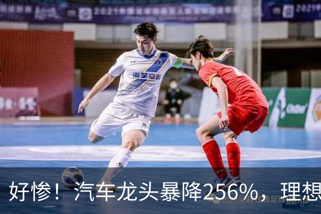 好惨！汽车龙头暴降256%，理想赛力斯小鹏全都亏损，汽车集体暴雷