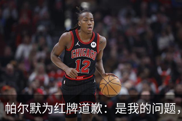 帕尔默为红牌道歉：是我的问题，会吸取教训