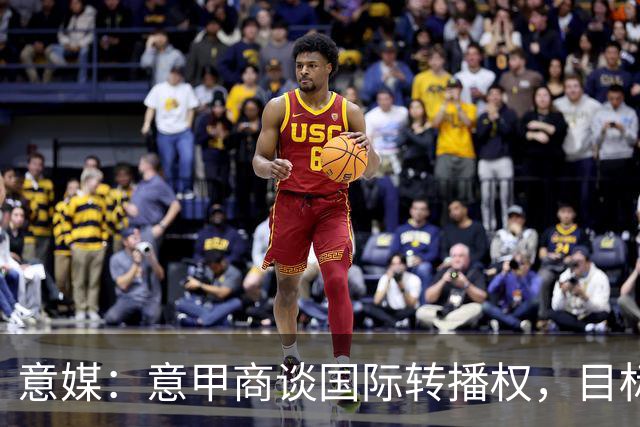 意媒：意甲商谈国际转播权，目标年入5亿欧