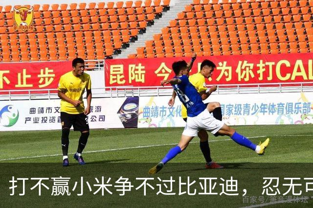 打不赢小米争不过比亚迪，忍无可忍的赛力斯，甩开华为自己干？