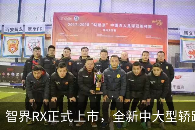 智界RX正式上市，全新中大型轿跑SUV，外观很帅，377马力/594马力
