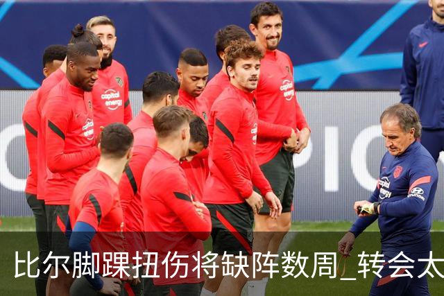 比尔脚踝扭伤将缺阵数周 转会太阳后仅出战6场