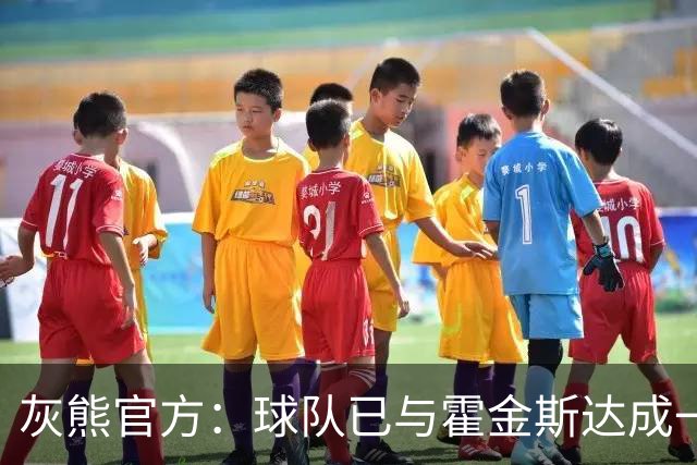 灰熊官方：球队已与霍金斯达成一致 双方决定分道扬镳