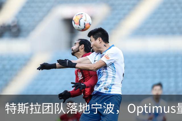 特斯拉团队落地宁波，Optimus量产审核启动