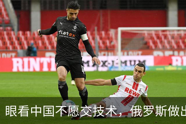 眼看中国不愿交技术，俄罗斯做出决定，把远东最大稀土矿交给印度