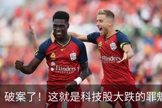 破案了！这就是科技股大跌的罪魁祸首