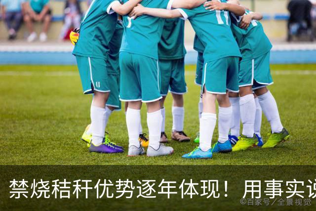 禁烧秸秆优势逐年体现！用事实说话，从近年鸟叫虫鸣增多就可以看出来