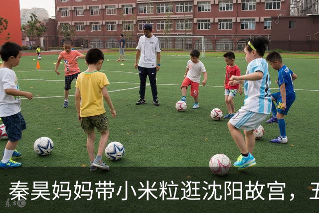 秦昊妈妈带小米粒逛沈阳故宫，五官越来越像爸爸秦昊，黝黑像个小黑炭