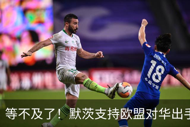 等不及了！默茨支持欧盟对华出手，德法10月动手，480架空客白买