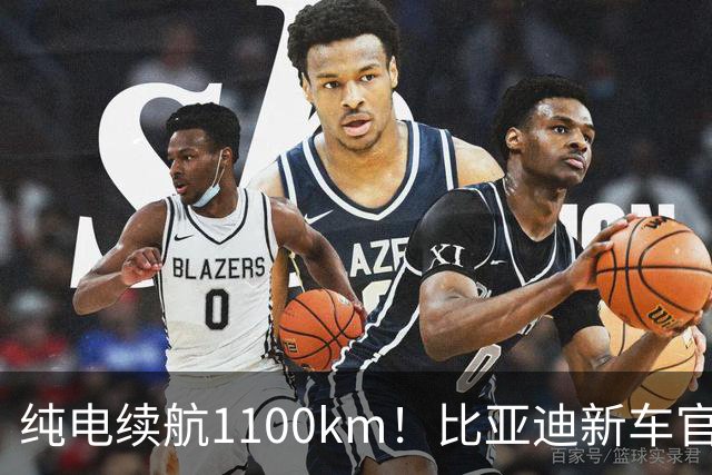 纯电续航1100km！比亚迪新车官宣：9月23日正式上市