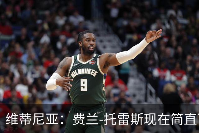 维蒂尼亚：费兰-托雷斯现在简直飞起来了！拥有他我们很开心