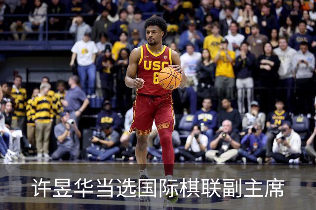 许昱华当选国际棋联副主席