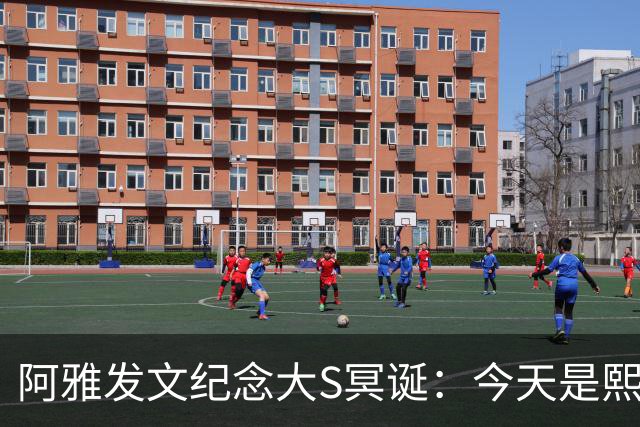 阿雅发文纪念大S冥诞：今天是熙媛的生日，今年，我只是坐着想她