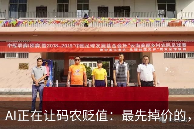 AI正在让码农贬值：最先掉价的，不是年龄，是这3种能力