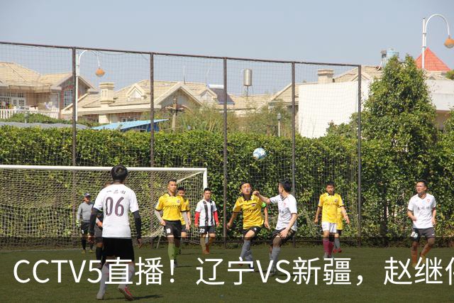CCTV5直播！辽宁VS新疆，赵继伟伤停，张陈带伤上阵，手帝最新伤情报告！