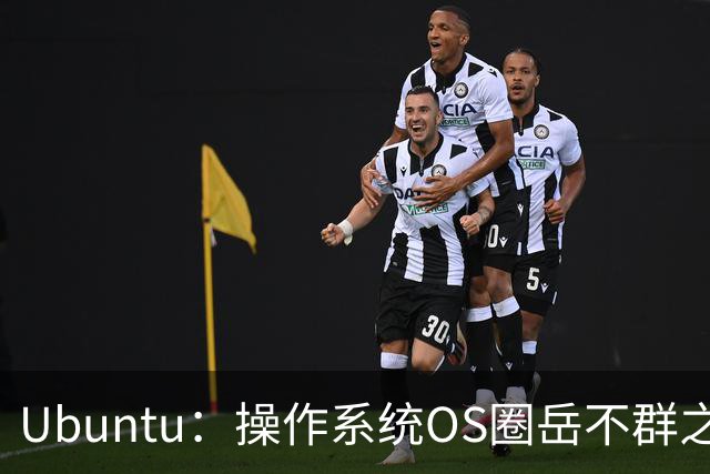 Ubuntu：操作系统OS圈岳不群之五大罪状全揭露